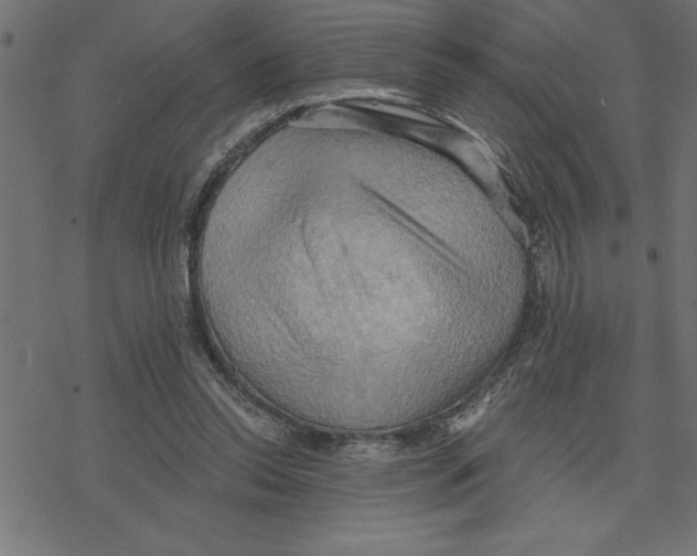 X0000078230350200612011545