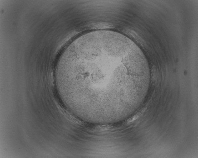 X0000078230351200612011545