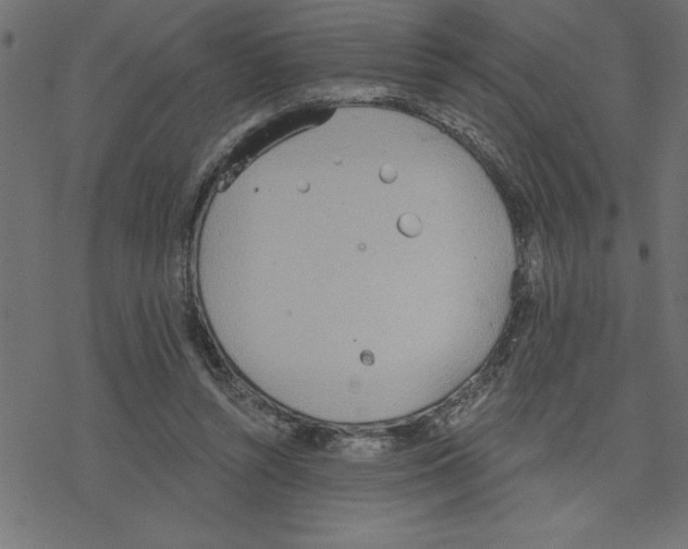 X0000078230352200612011545