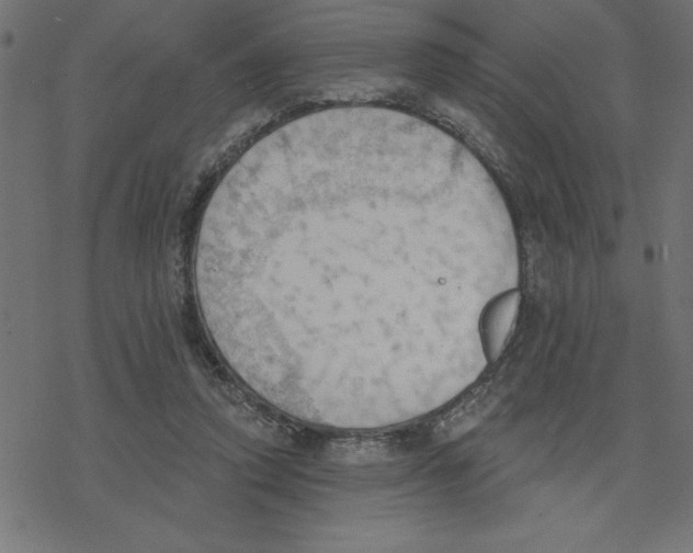 X0000078230354200612011545