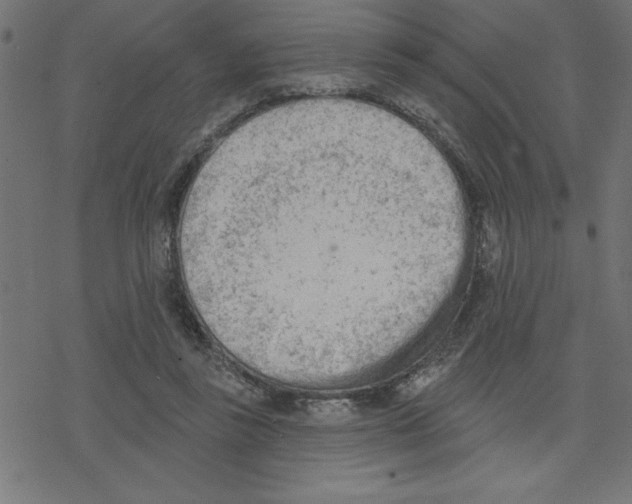 X0000078230355200612011545