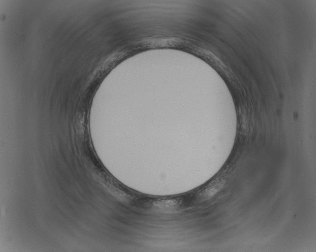 X0000078230357200612011545