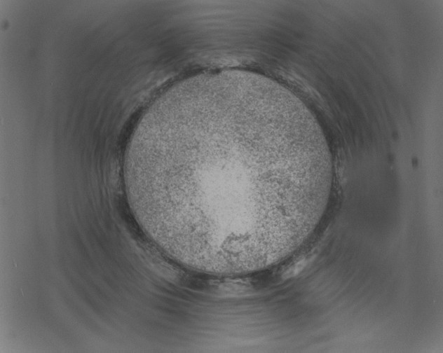 X0000078230359200612011545