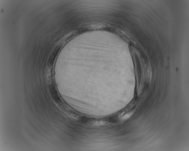 X0000078230360200612011545