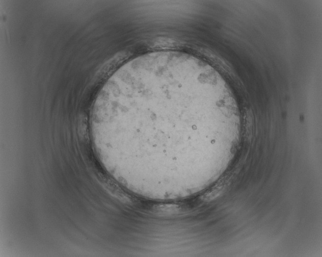 X0000078230361200612011545