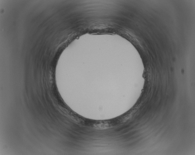 X0000078230362200612011545