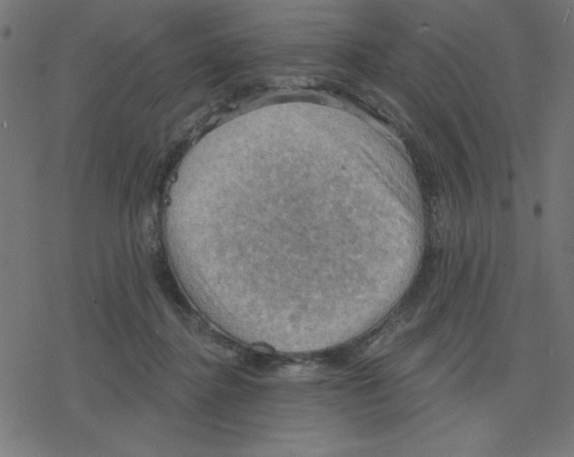 X0000078230364200612011545