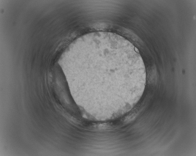 X0000078230365200612011545