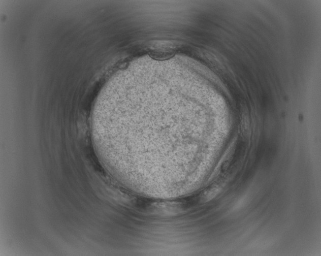 X0000078230367200612011545