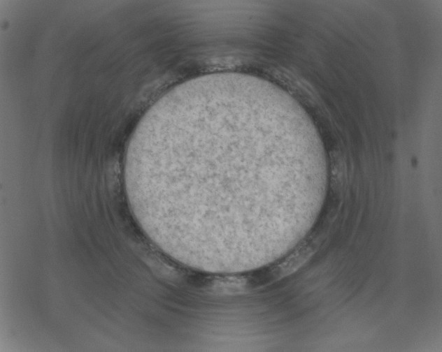 X0000078230369200612011545