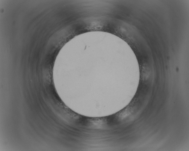 X0000078230370200612011546