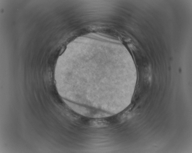 X0000078230372200612011546