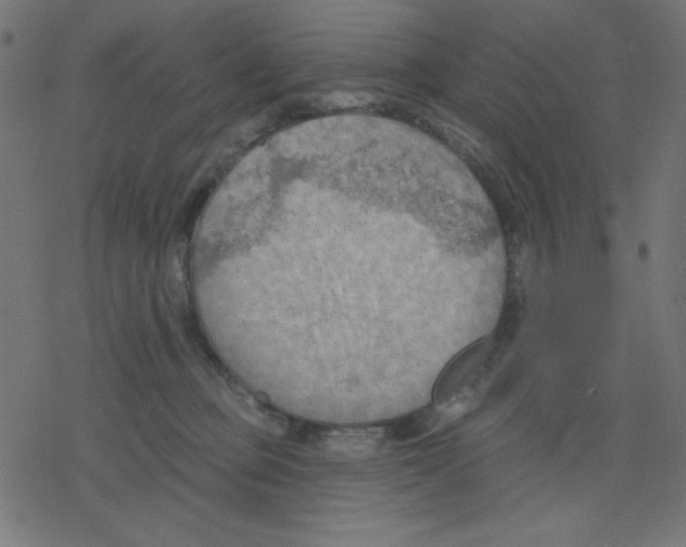 X0000078230373200612011546