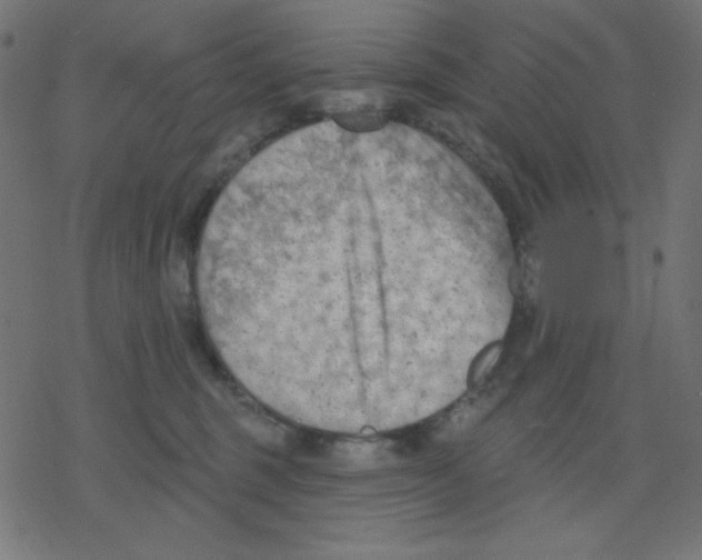 X0000078230375200612011546