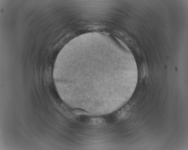 X0000078230376200612011546