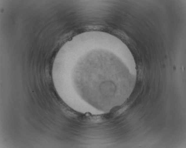 X0000078230377200612011546