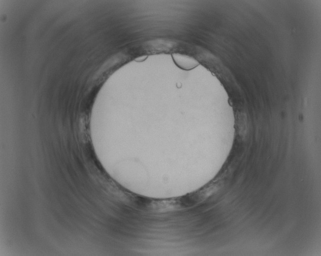 X0000078230378200612011546