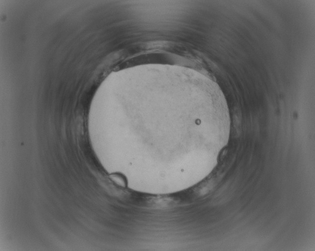 X0000078230379200612011546