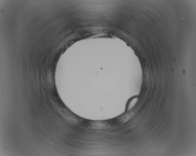 X0000078230380200612011546