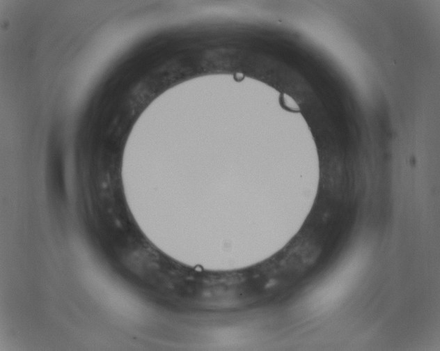 X0000078230382200612011546