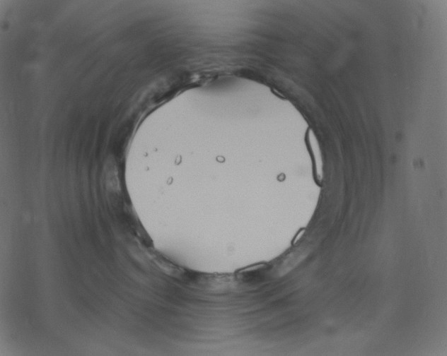 X0000078230384200612011546