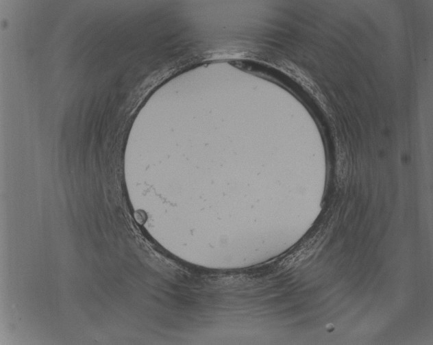 X0000078230385200612011545