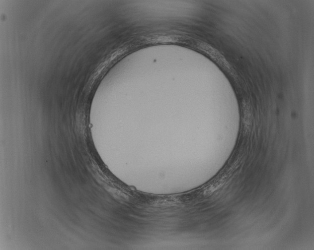 X0000078230386200612011545