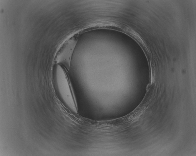 X0000078230387200612011545