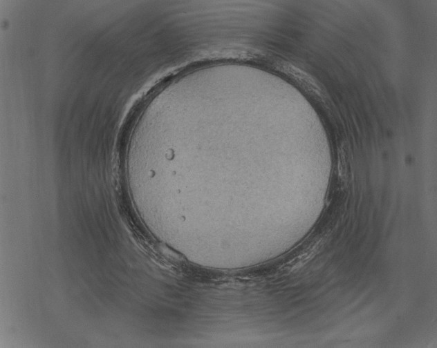 X0000078230388200612011545