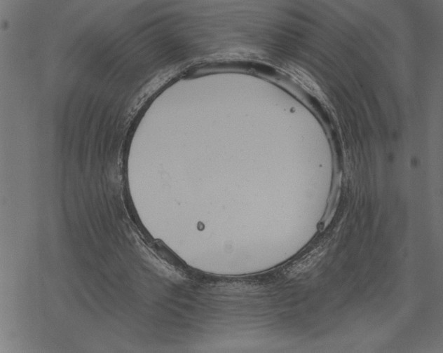 X0000078230389200612011545