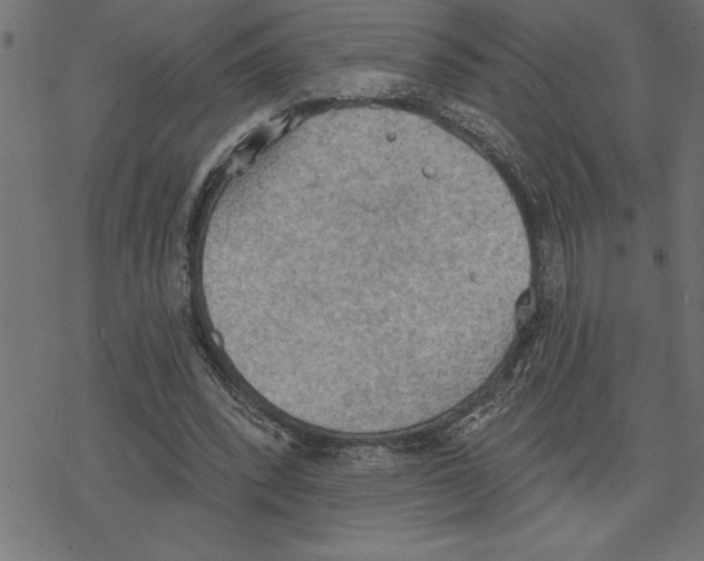 X0000078230392200612011545