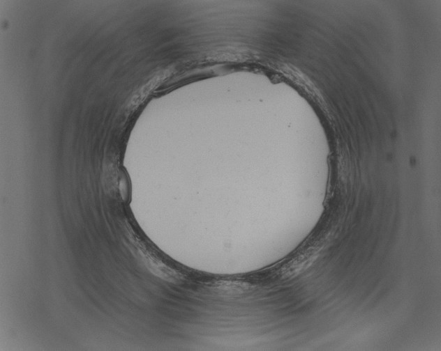 X0000078230393200612011545