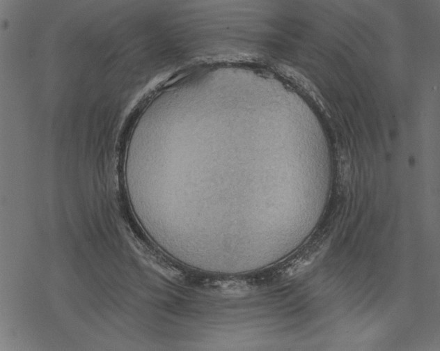 X0000078230395200612011545