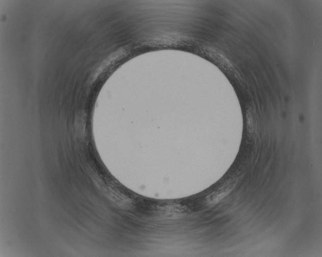 X0000078230396200612011545