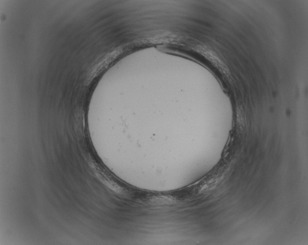 X0000078230397200612011545