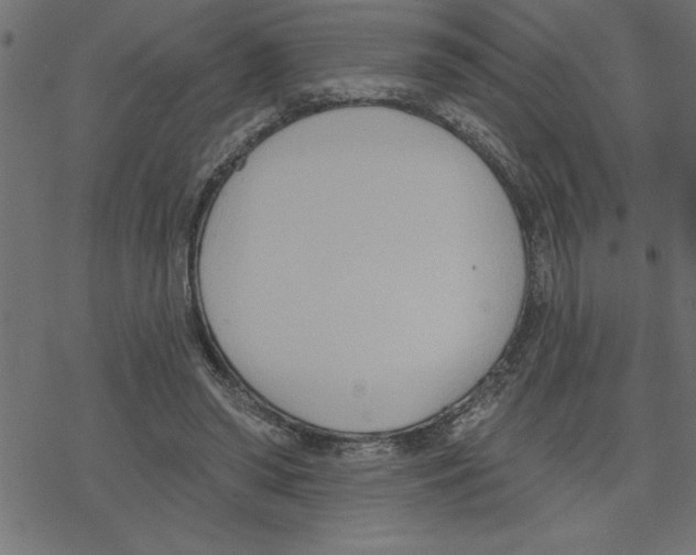 X0000078230398200612011545