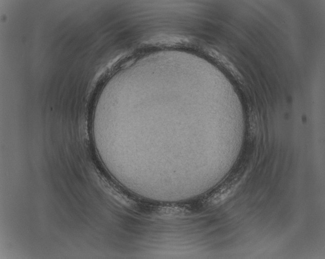 X0000078230399200612011545