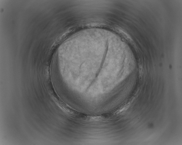 X0000078230401200612011545