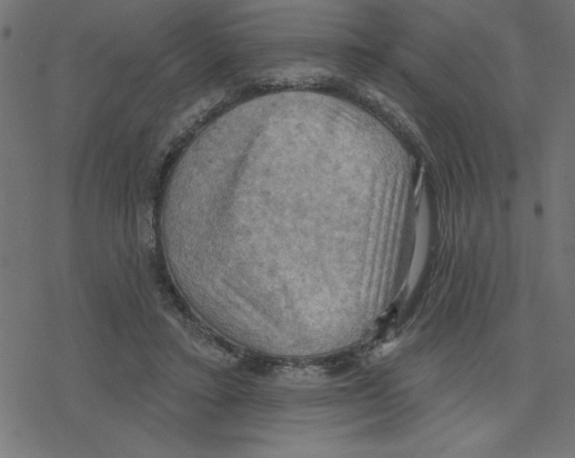 X0000078230403200612011545