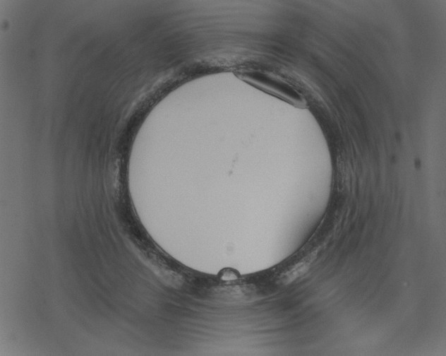 X0000078230404200612011545