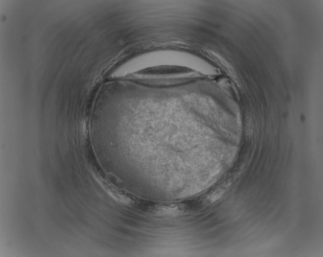 X0000078230405200612011545