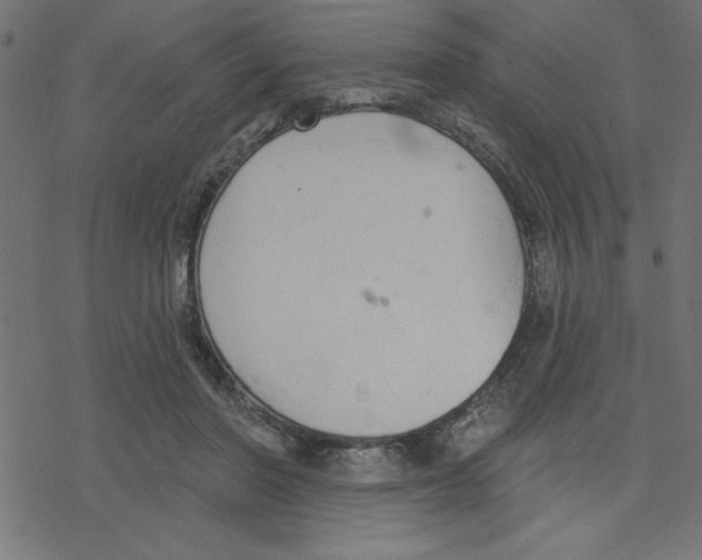 X0000078230406200612011545