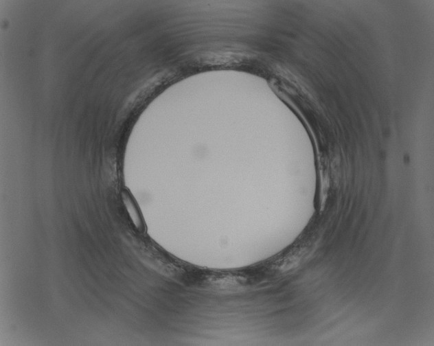 X0000078230407200612011545