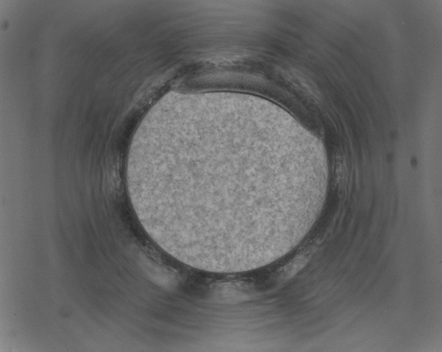 X0000078230408200612011545