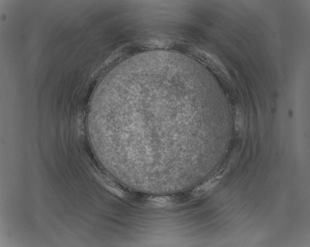 X0000078230409200612011545