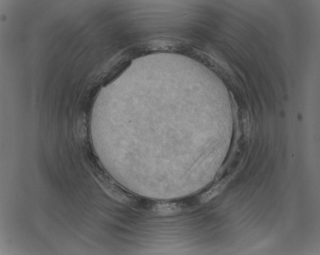 X0000078230413200612011545