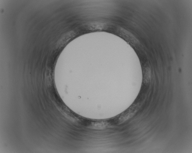 X0000078230414200612011544