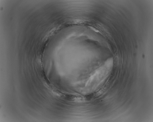 X0000078230415200612011544