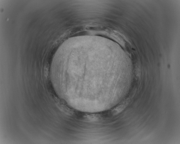 X0000078230417200612011544