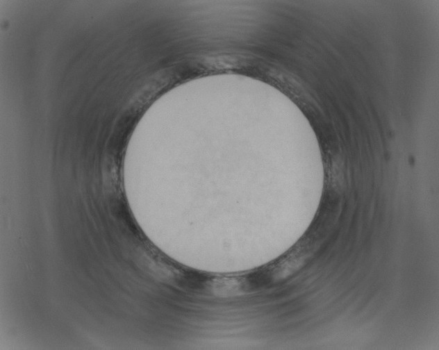 X0000078230418200612011544